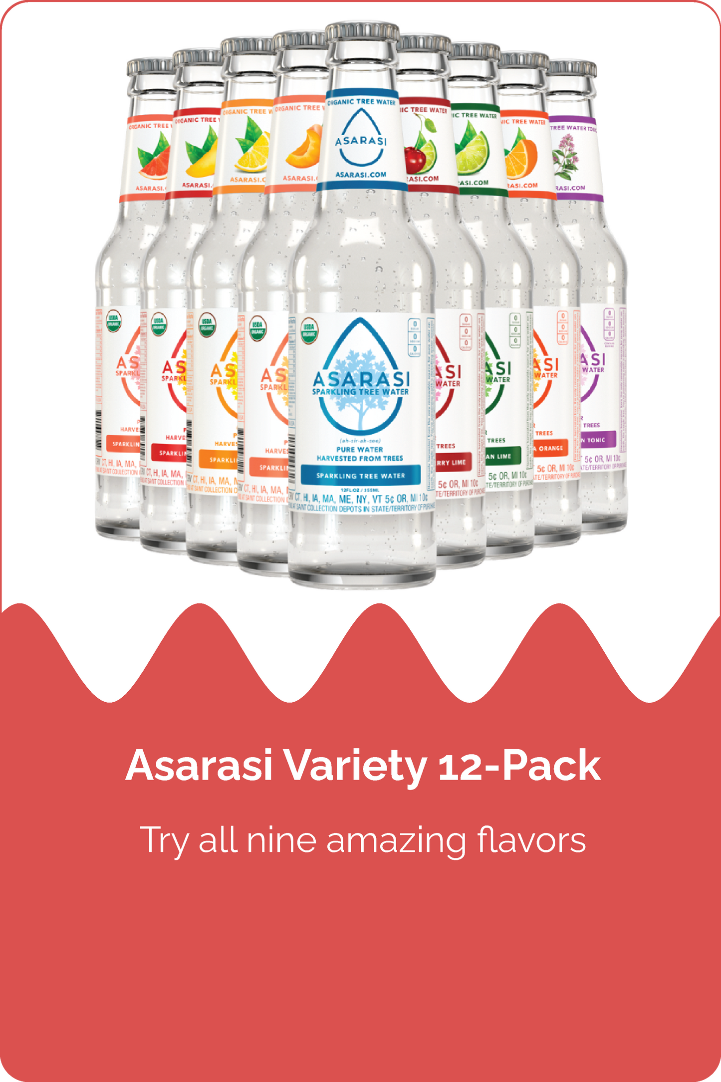 Asarasi Nine Flavor Variety Pack